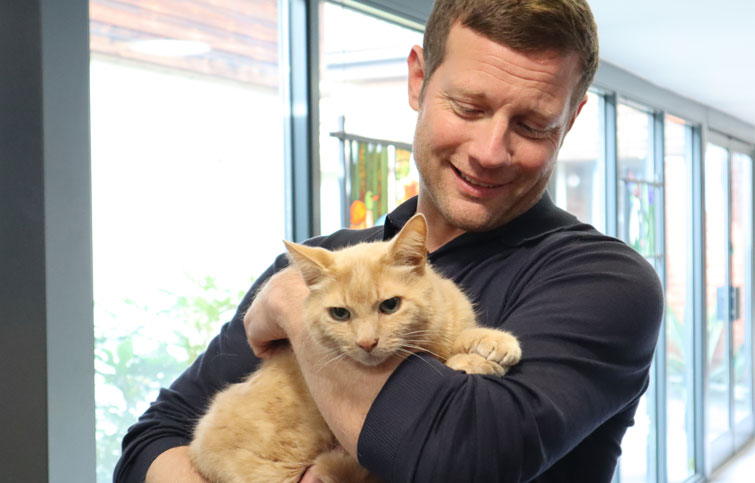 Image: Dermot O'Leary with Paddy the cat at St Helena Hospice