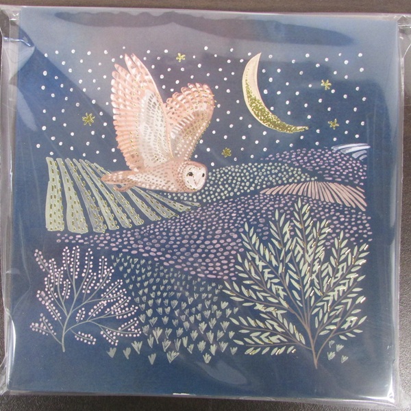 Christmas Cards 10 Pack - Over the Fields